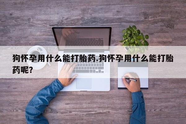 米非米索私人微信,打胎药私人店狗怀孕用什么能打胎药.狗怀孕用什么能打胎药呢？