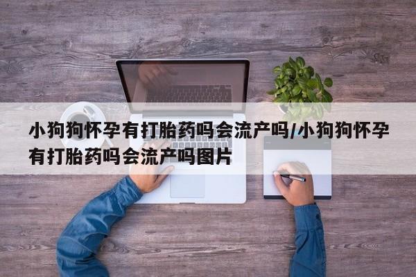 米非米索私人微信,打胎药私人店小狗狗怀孕有打胎药吗会流产吗/小狗狗怀孕有打胎药吗会流产吗图片