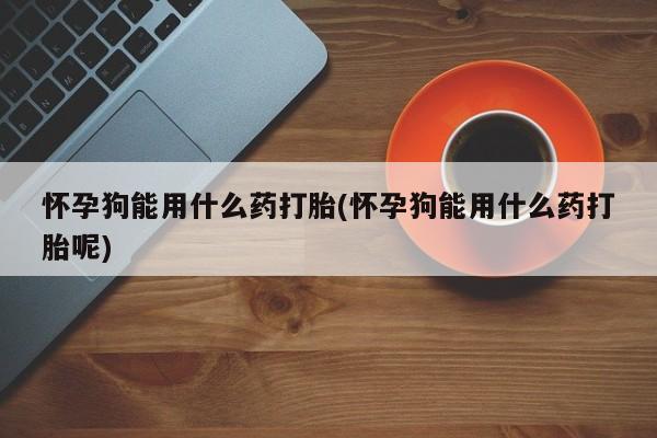 米非米索私人微信,打胎药私人店怀孕狗能用什么药打胎(怀孕狗能用什么药打胎呢)